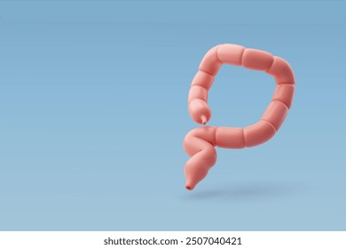 3d Vector Organs of gastrointestinal tract, Small intestine, Internal organs concept. Eps 10 Vector.