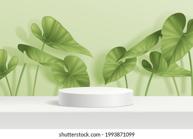 3d vector podium with leaves againts pastel green wall. Cylinder white podium with Anthurium plant. Base for natural product display