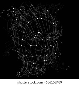 3d vector portrait created with lines mesh. Intelligence allegory, black and white low poly face with splinters which fall apart, head exploding with ideas, thoughts and imagination.