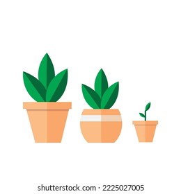 3d vector potted plants icon set on white background