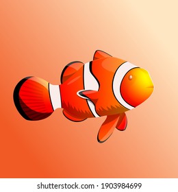 3D-Vektorgrafik von realistischen Clownfischen oder Anemonefischen.