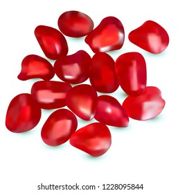 3D Vector realistic collection pomegranate seeds close-up isolated on white background.