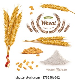 3d vector realistic wheat set, a bunch of ears, falling grains, a slide of flour, logo for flour