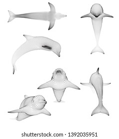 3d vector set. ocean protection. dolphin