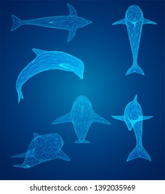 3d vector set. ocean protection. dolphin