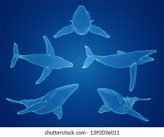 3d vector set. ocean protection. big blue whale