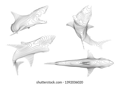3d vector set. ocean protection. great white shark.