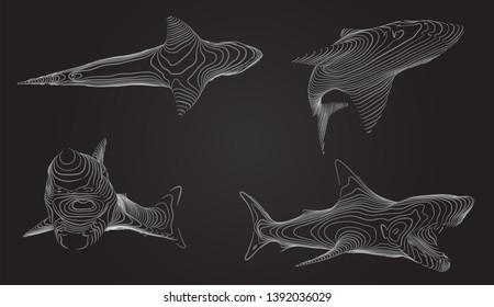 3d vector set. ocean protection. great white shark.