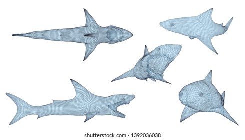 3d vector set. ocean protection. great white shark.
