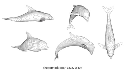 3d vector set. ocean protection. dolphin