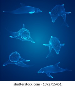 3d vector set. ocean protection. dolphin