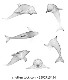 3d vector set. ocean protection. dolphin