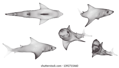 3d vector set. ocean protection. great white shark.