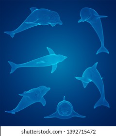 3d vector set. ocean protection. dolphin