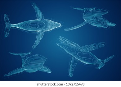 3d vector set. ocean protection. big blue whale