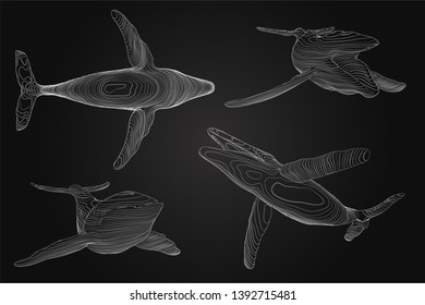 3d vector set. ocean protection. big blue whale