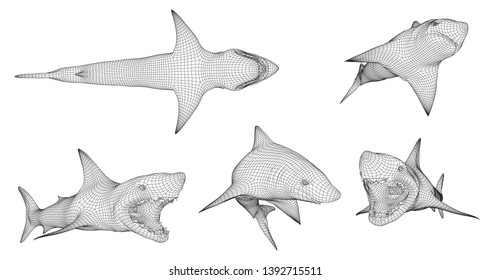 3d vector set. ocean protection. great white shark.