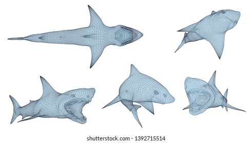 3d vector set. ocean protection. great white shark.