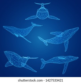 3d vector set. ocean protection. big blue whale