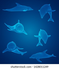 3d vector set. ocean protection. dolphin