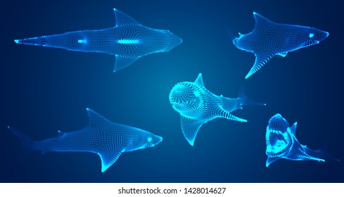 3d vector set. ocean protection. great white shark.