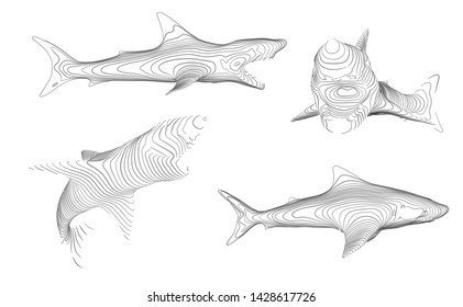 3d vector set. ocean protection. great white shark.