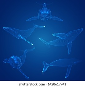 3d vector set. ocean protection. big blue whale