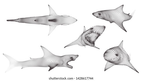 3d vector set. ocean protection. great white shark.