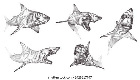3d vector set. ocean protection. great white shark.
