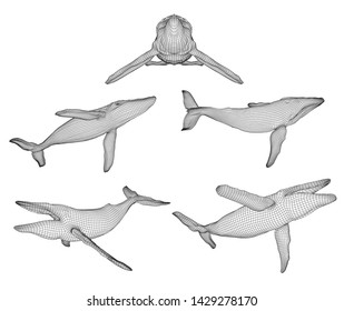 3d vector set. ocean protection. big blue whale