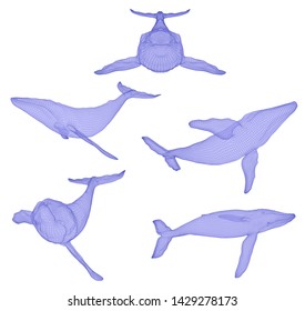 3d vector set. ocean protection. big blue whale