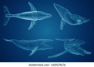 3d vector set. ocean protection. big blue whale