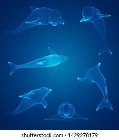 3d vector set. ocean protection. dolphin