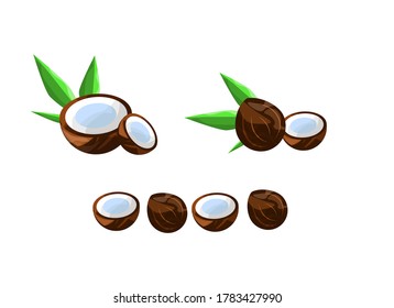 3d vector set of whole coconut, half coconut and palm leaves on an isolated background, vector illustration cartoon coconut