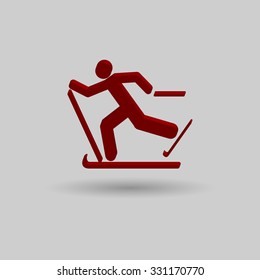 3D vector skier icon