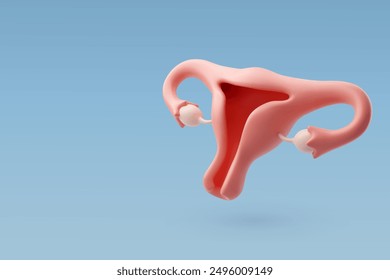 Útero del Vector 3d, órgano genital femenino, concepto de órganos internos. Vector Eps 10.