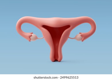 Útero del Vector 3d, órgano genital femenino, concepto de órganos internos. Vector Eps 10.