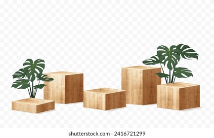3D Vector wooden podium product display with nature leaves