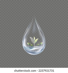 3D Water drop with growing plant under clean water on transparent background, Vector isolated Transparency Single Blue shiny Rain drop with young tree, Design concept for Ecology and World Water day 