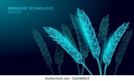 3D wheat ears grain. World food Day hunger awareness. Help charity food help global international refugees vector illustration