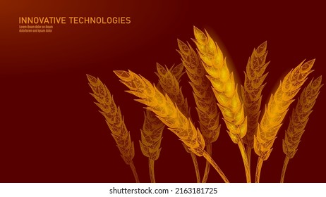 3D wheat ears grain. World food Day hunger awareness. Help charity food help global international refugees vector illustration