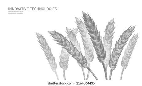 grano de oídos de trigo 3D. Concienciación sobre el hambre en el Día Mundial de la Alimentación. Ayuda con alimentos de caridad para ayudar a los refugiados internacionales globales ilustraciones vectoriales