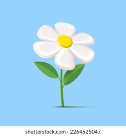 3d white daisy or chamomille flower with leaves on blue backdrop