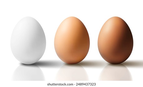 3D White, Light And Dark Chicken Eggs Isolated On White Background. EPS10 Vector