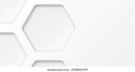 3D white rounded hexagon frame paper cut style background graphic illustration have blank space.