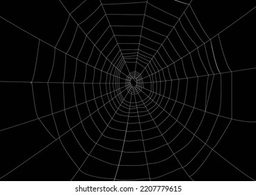 3D white spider web on black background