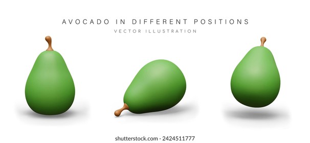 3D whole green avocado in vertical, horizontal, inclined position
