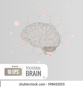 3D wireframe brain illustration lateral side view with hexagon connection dots on light gray background