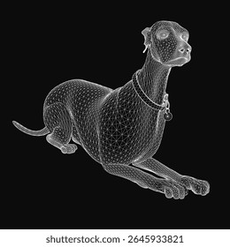 Um wireframe 3D de um cão Labrador usando um colar, renderizado em linhas digitais elegantes contra um fundo escuro. A estrutura de malha detalhada destaca a anatomia do canino, com bordas limpas e um.