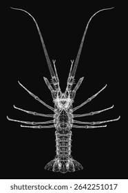 3D wireframe lobster with intricate details, featuring long antennae and sharp spines on a black background. Its light brown body contrasts with darker brown legs, while large round eyes and a long.